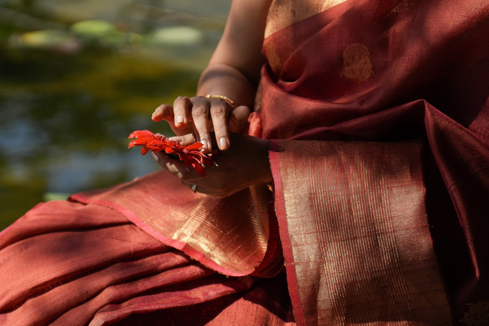 Discover our entire Saree range